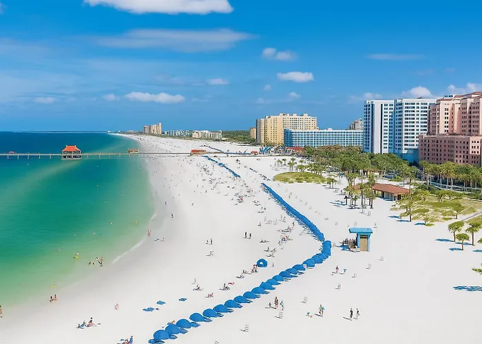 Green Castle Apartment In Tampa 10 Min From Airport And The Beach